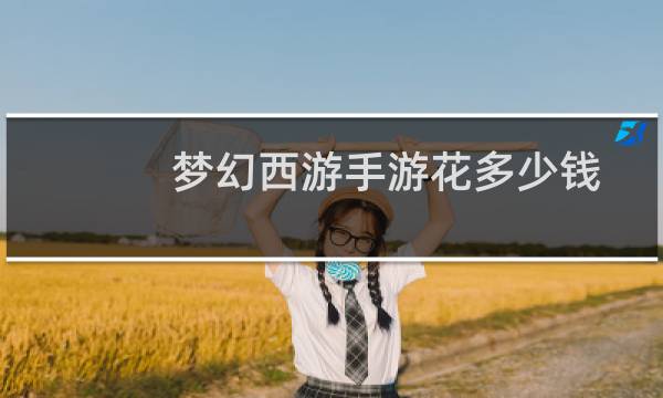 梦幻西游手游花多少钱