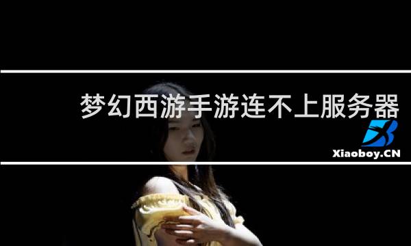 梦幻西游手游连不上服务器