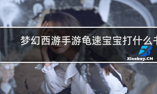 梦幻西游手游龟速宝宝打什么书