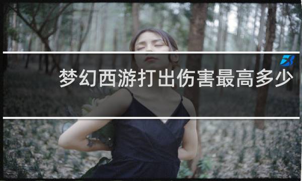 梦幻西游打出伤害最高多少
