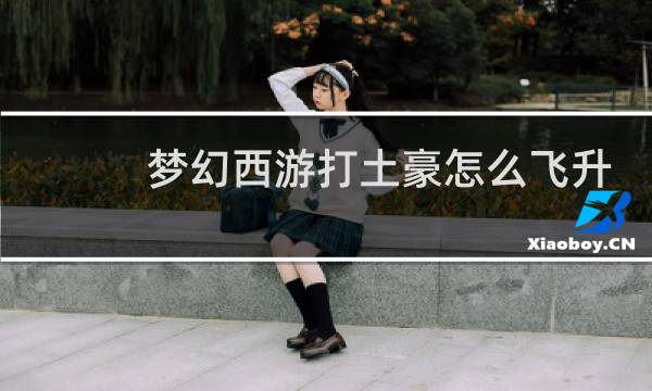 梦幻西游打土豪怎么飞升