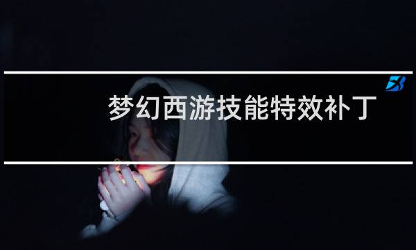 梦幻西游技能特效补丁