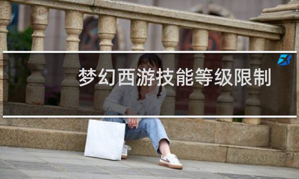 梦幻西游技能等级限制