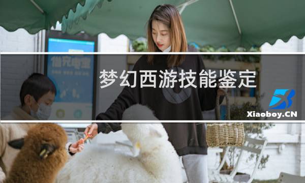 梦幻西游技能鉴定