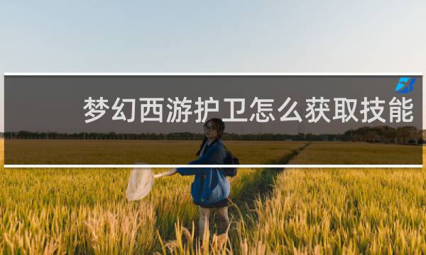 梦幻西游护卫怎么获取技能