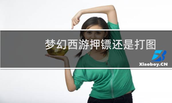 梦幻西游押镖还是打图