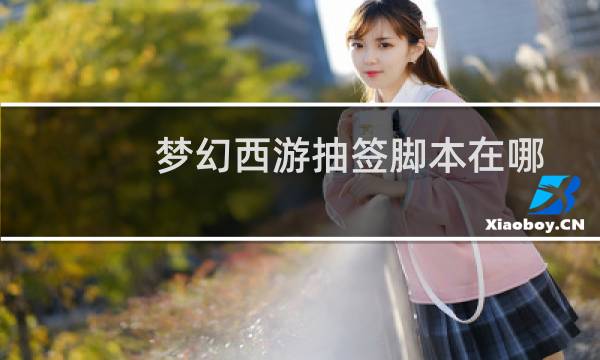 梦幻西游抽签脚本在哪