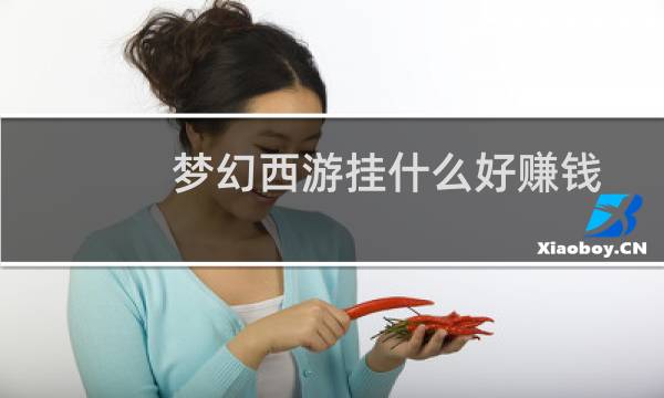 梦幻西游挂什么好赚钱