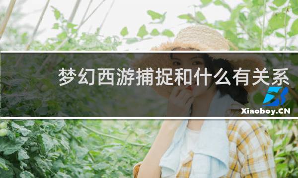 梦幻西游捕捉和什么有关系