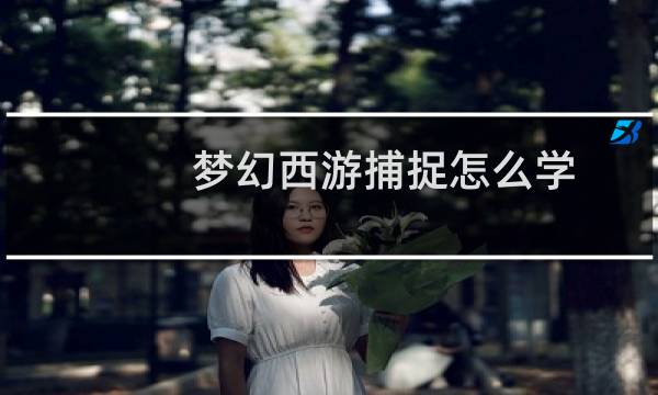 梦幻西游捕捉怎么学