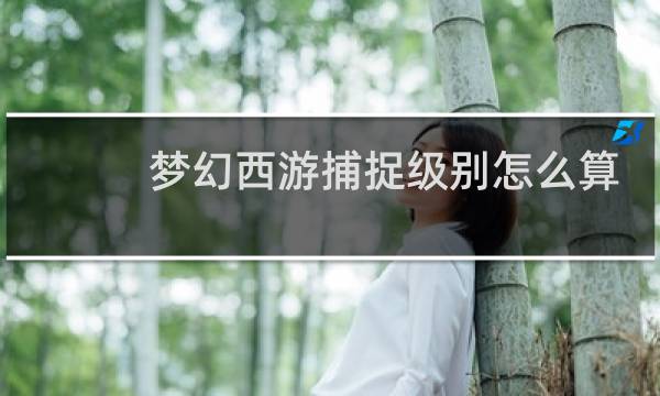 梦幻西游捕捉级别怎么算