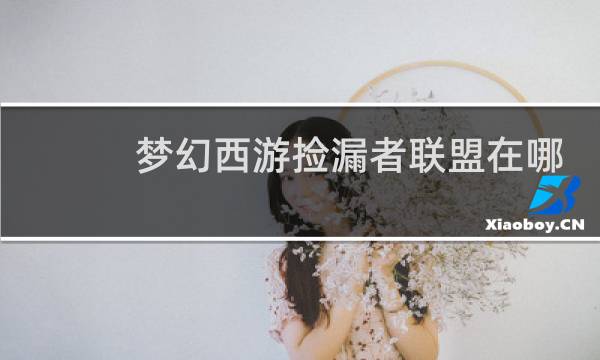 梦幻西游捡漏者联盟在哪