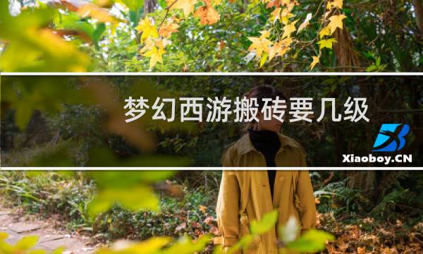 梦幻西游搬砖要几级