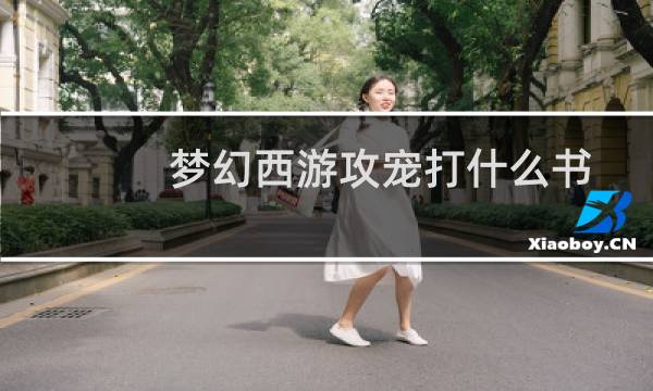 梦幻西游攻宠打什么书