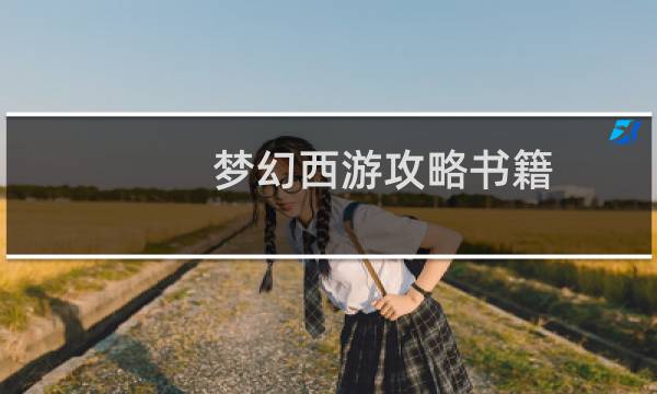 梦幻西游攻略书籍
