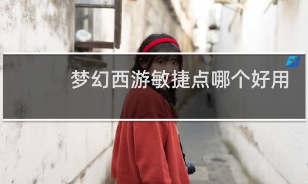 梦幻西游敏捷点哪个好用