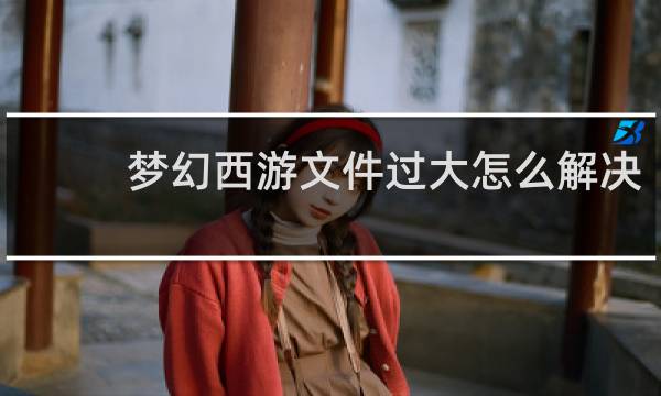 梦幻西游文件过大怎么解决