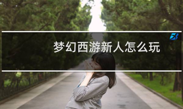 梦幻西游新人怎么玩