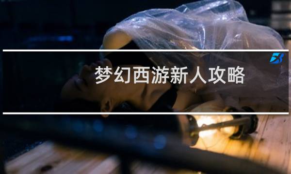 梦幻西游新人攻略