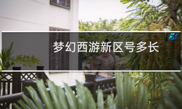 梦幻西游新区号多长