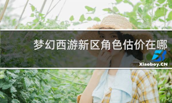 梦幻西游新区角色估价在哪