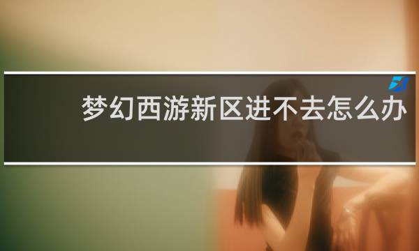 梦幻西游新区进不去怎么办
