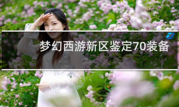 梦幻西游新区鉴定70装备