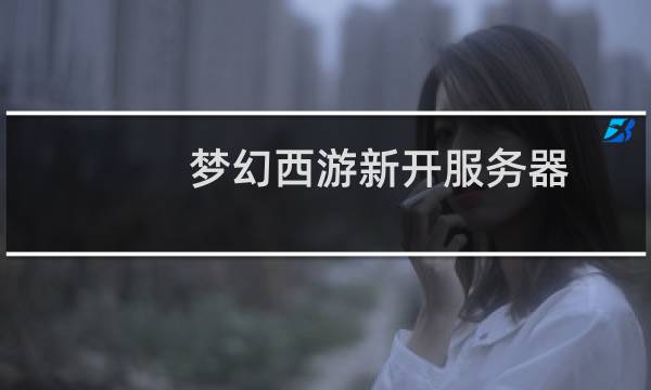 梦幻西游新开服务器