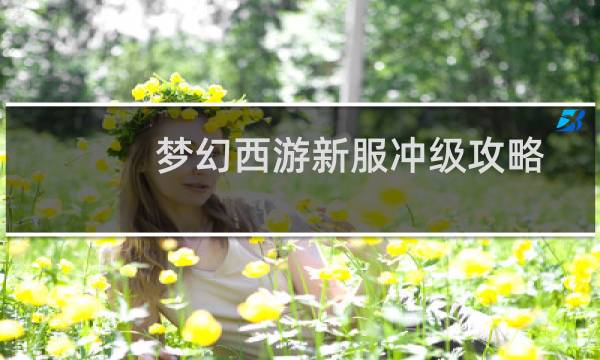 梦幻西游新服冲级攻略