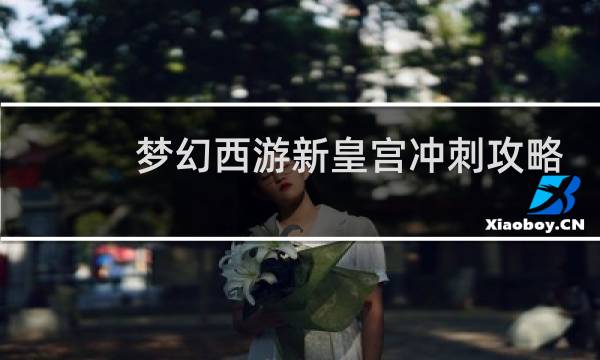 梦幻西游新皇宫冲刺攻略