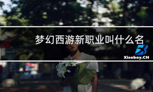 梦幻西游新职业叫什么名