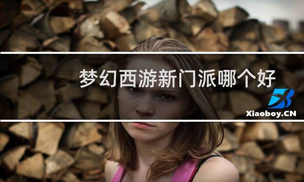 梦幻西游新门派哪个好