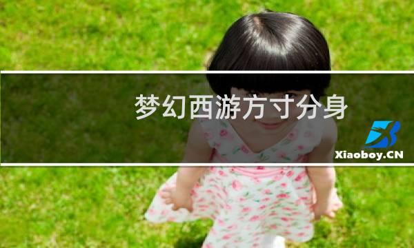 梦幻西游方寸分身