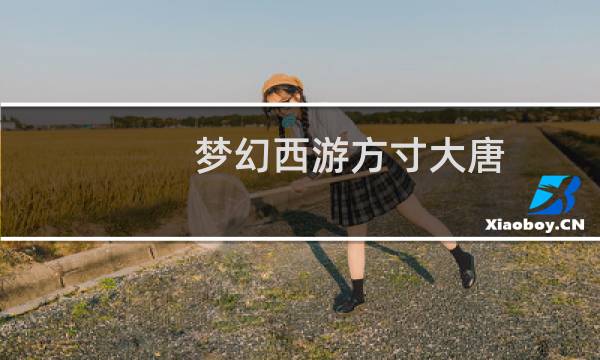 梦幻西游方寸大唐