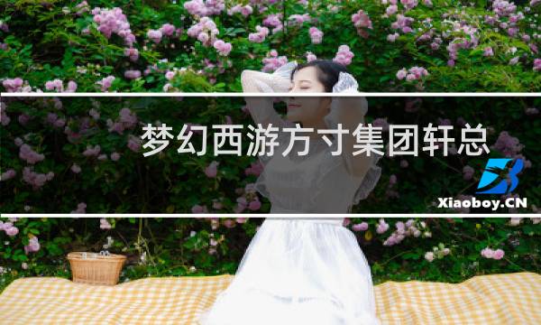 梦幻西游方寸集团轩总
