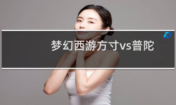 梦幻西游方寸vs普陀