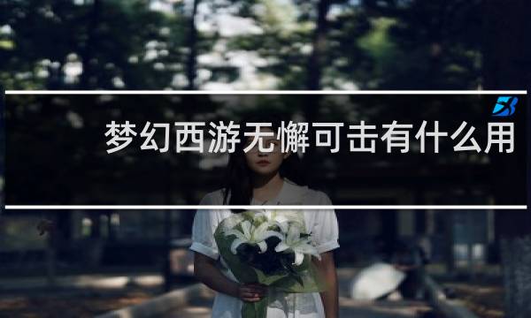 梦幻西游无懈可击有什么用