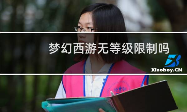 梦幻西游无等级限制吗