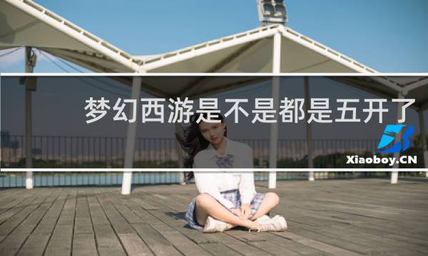 梦幻西游是不是都是五开了