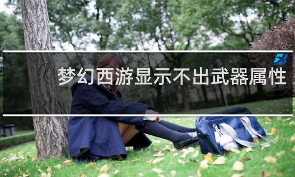 梦幻西游显示不出武器属性