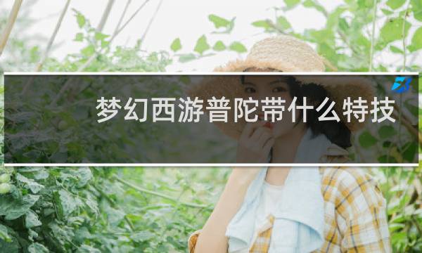 梦幻西游普陀带什么特技