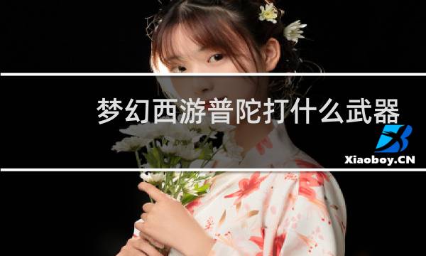 梦幻西游普陀打什么武器