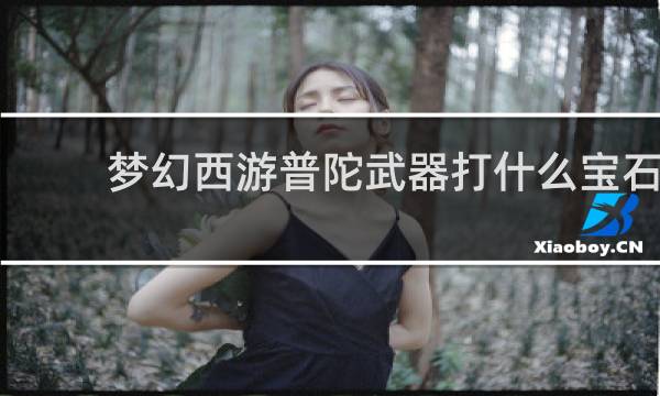 梦幻西游普陀武器打什么宝石