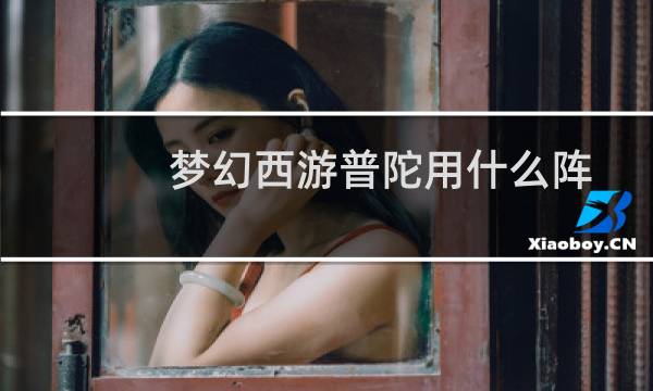 梦幻西游普陀用什么阵
