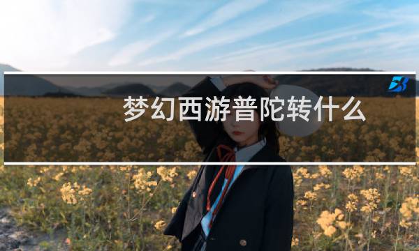 梦幻西游普陀转什么