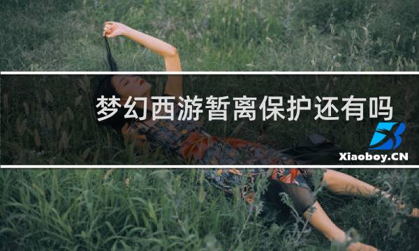 梦幻西游暂离保护还有吗