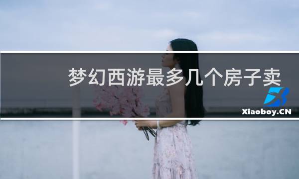 梦幻西游最多几个房子卖