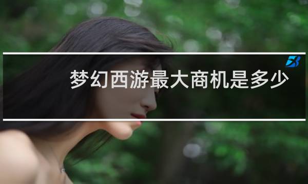 梦幻西游最大商机是多少