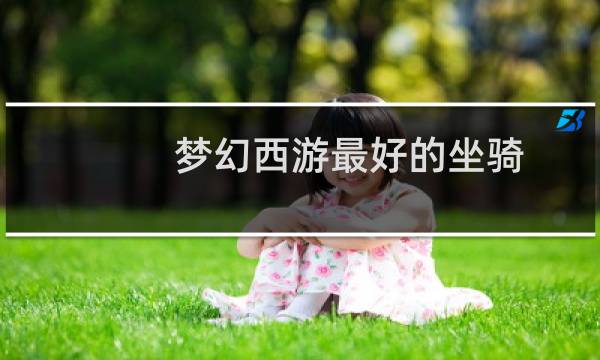 梦幻西游最好的坐骑