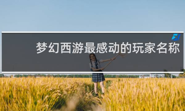 梦幻西游最感动的玩家名称